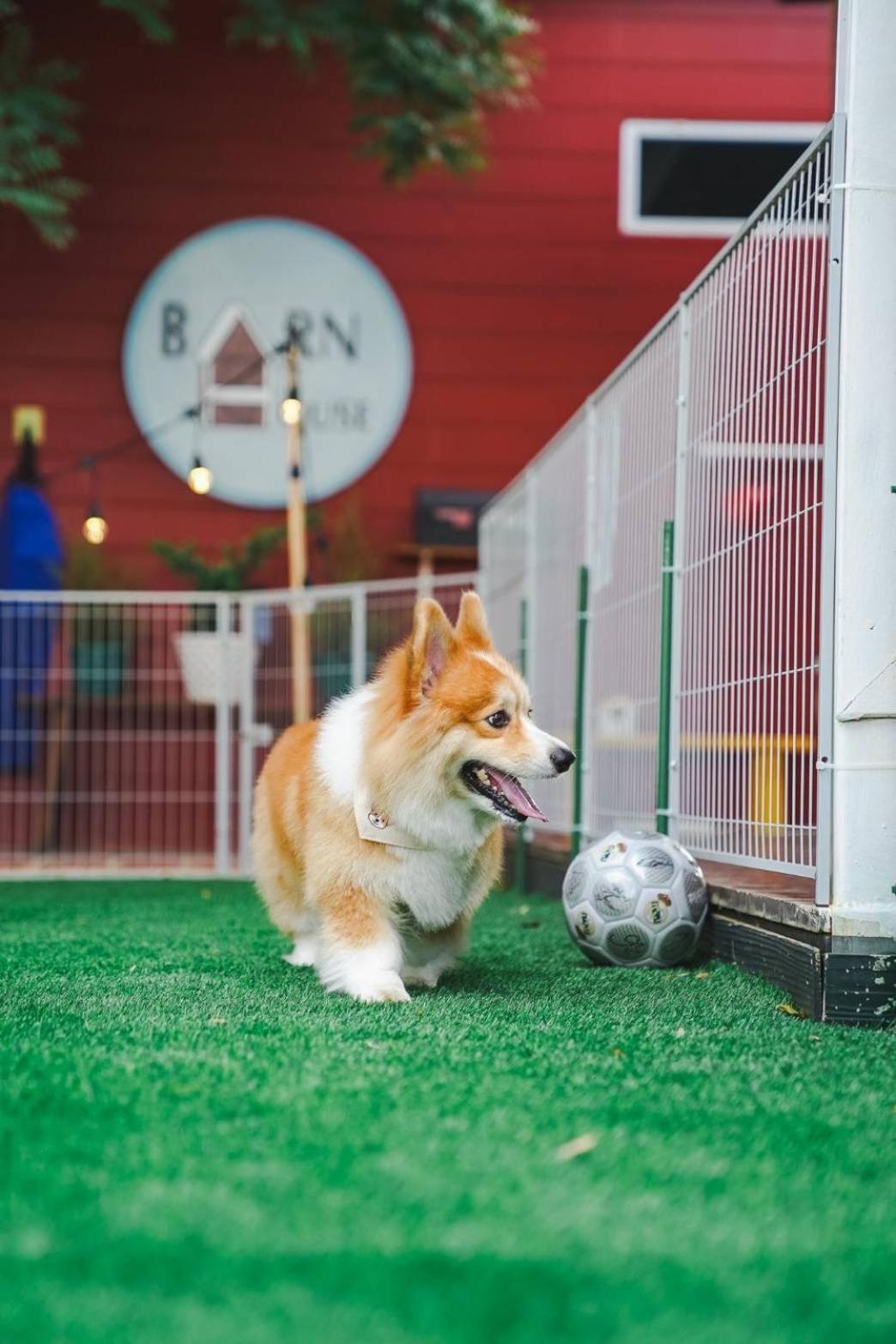 Pong Talong Barn House Pet Friendly 빌라 외부 사진