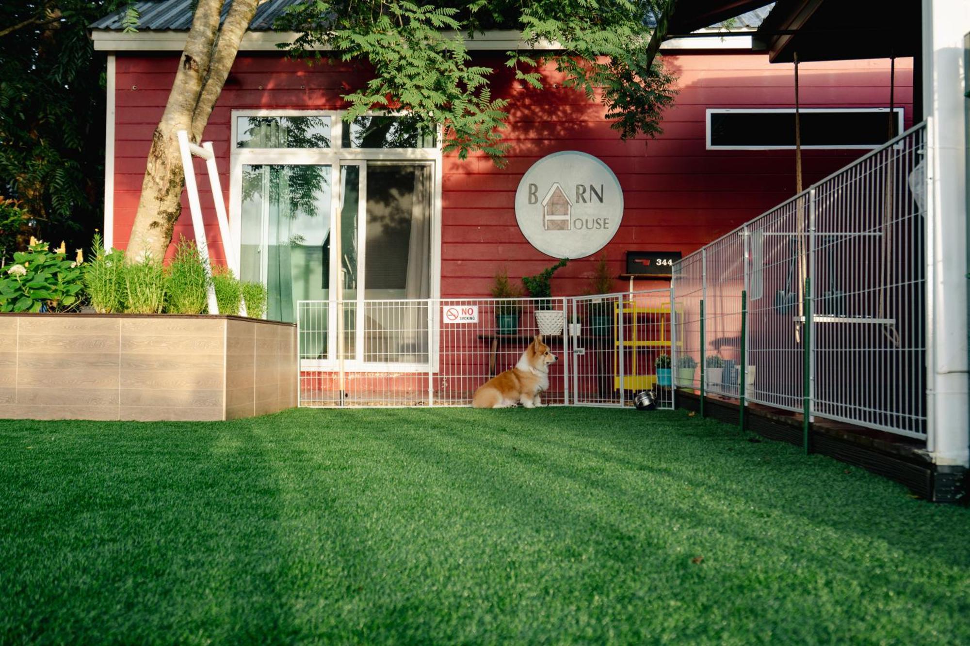 Pong Talong Barn House Pet Friendly 빌라 외부 사진