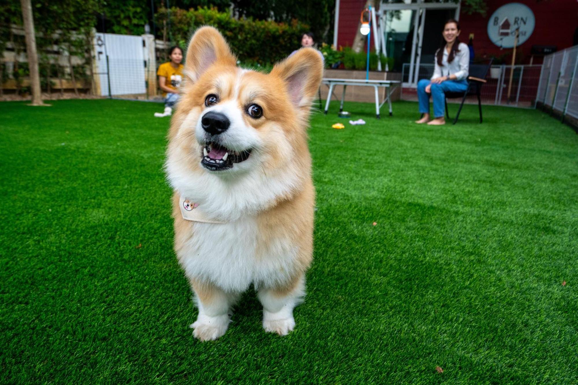 Pong Talong Barn House Pet Friendly 빌라 외부 사진